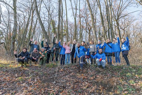 Zasadi drvo V sezona